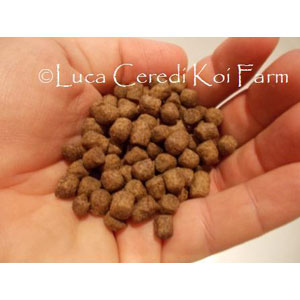 Koi Green-Sect 15kg - 4mm