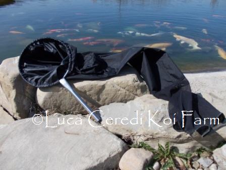 Retino a manica Stagno ø 30 cm