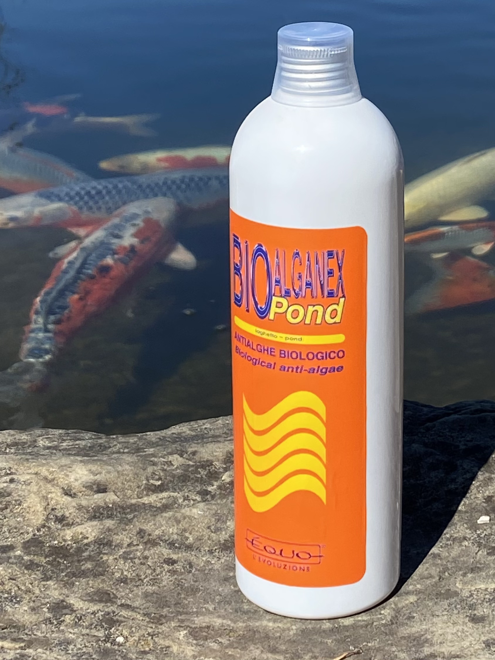 batteri anti alghe Èquo Bio alganex pond 500 ml