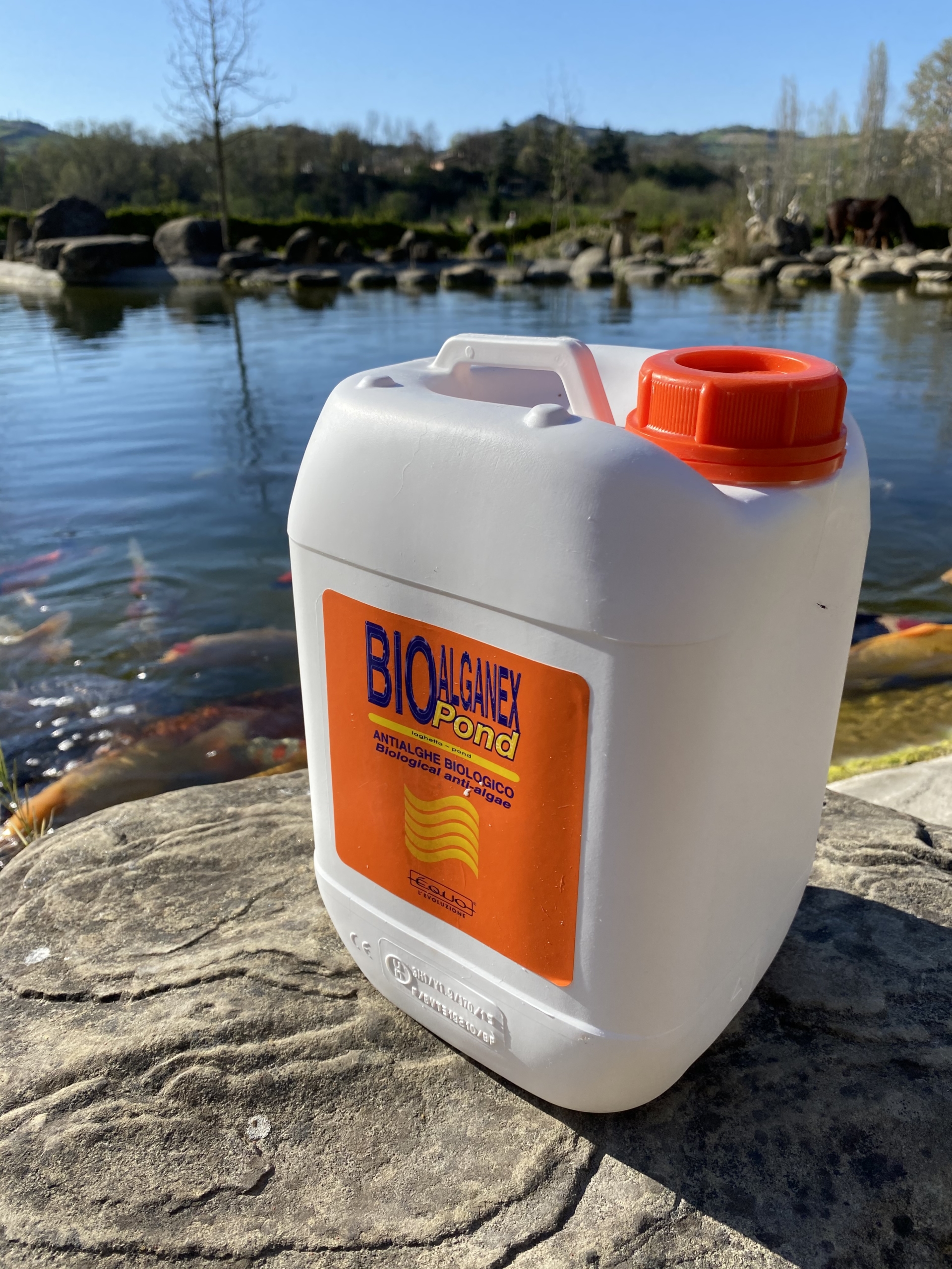 batteri anti alghe Èquo Bio alganex pond 5 l