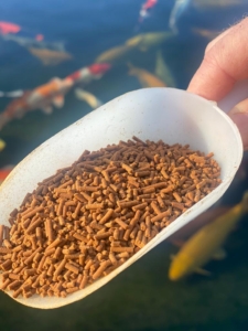 Greenvet koi pro red granulometria